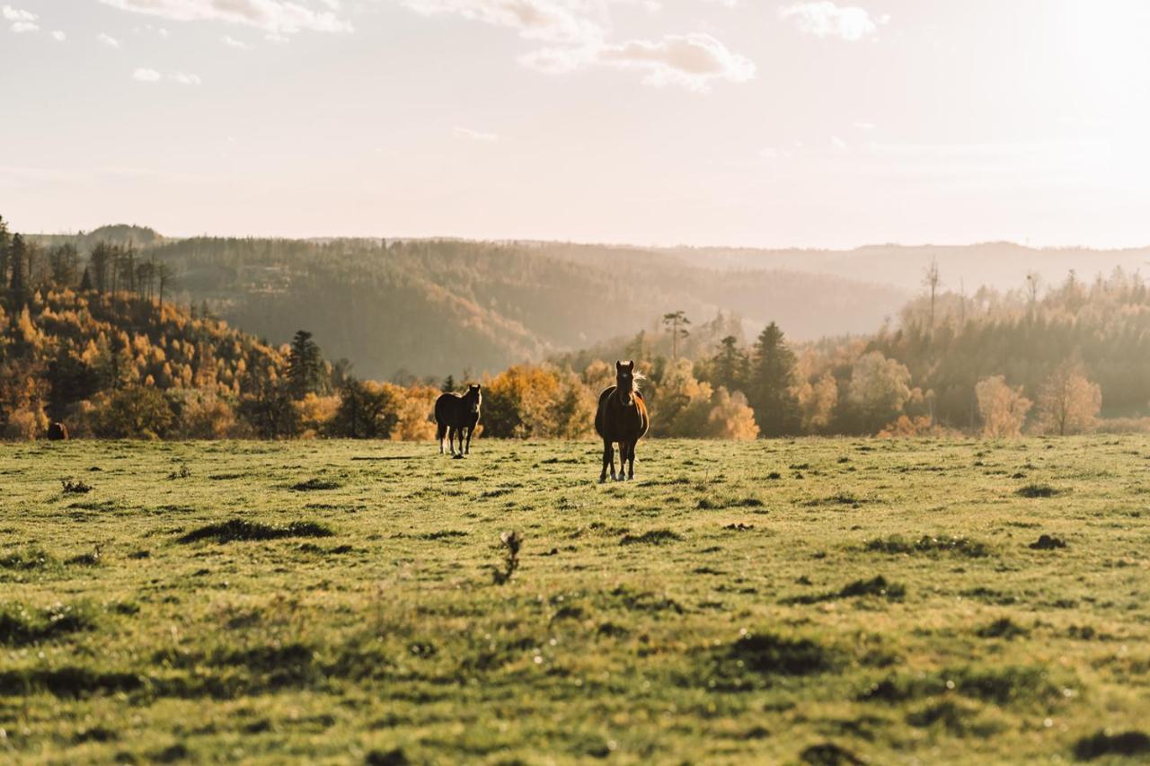 Villa Farma Klokocov Vitkov Esterno foto